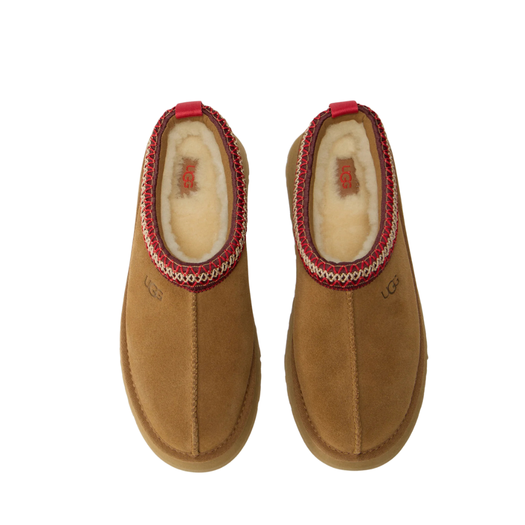 UGG TAZZ II Brun - Kikicks